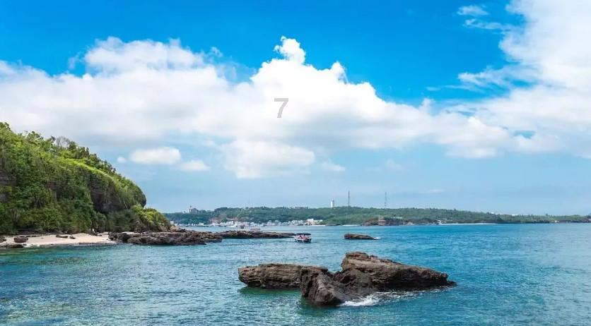 去菜市场买菜，如何挑选海带?游戏画面
